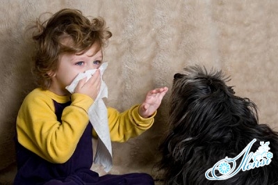 аллергия на животных у детей