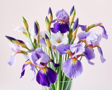 Ирис в букете: почему он всегда привлекает взгляд и как собрать идеальную композицию
