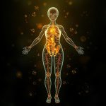 Роль фолиевой кислоты в женском организме: путь к здоровью на всех этапах жизни