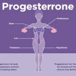 Роль прогестерона в женском организме: симптомы дисбаланса